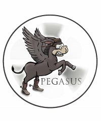 Pegasus_2Iris_Zeh 202KB)